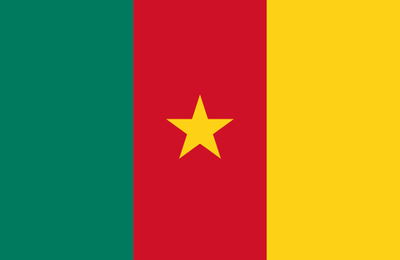 Cameroon Flag