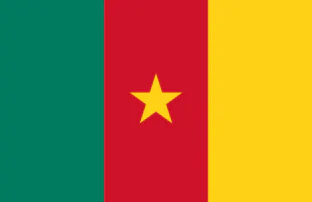 Cameroon Flag
